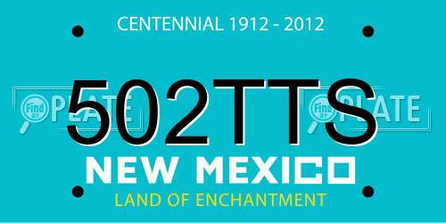 502TTS New Mexico License Plate