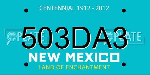 503DA3 New Mexico License Plate