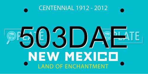 503DAE New Mexico License Plate