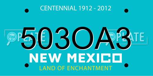 503OA3 New Mexico License Plate