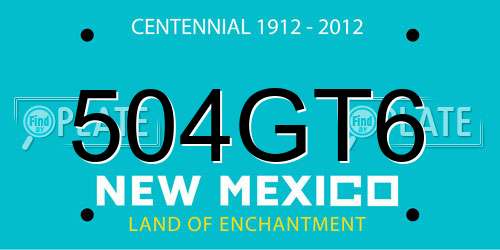 504GT6 New Mexico License Plate
