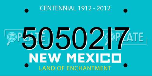 50502I7 New Mexico License Plate