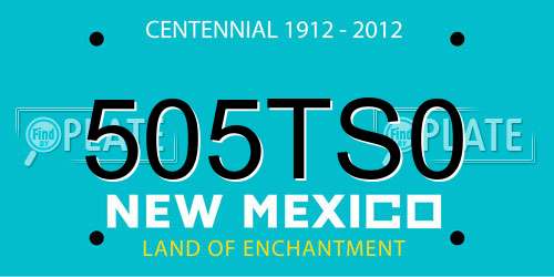 505TS0 New Mexico License Plate