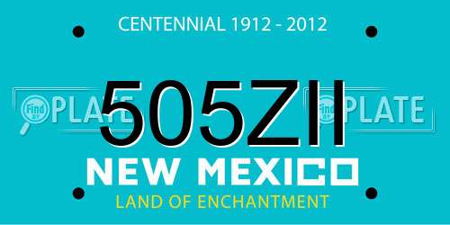 505ZII New Mexico License Plate