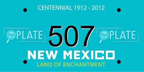507 New Mexico License Plate