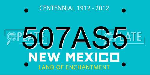 507AS5 New Mexico License Plate