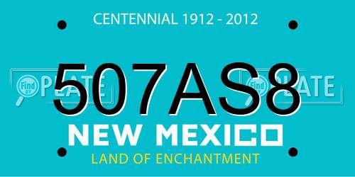 507AS8 New Mexico License Plate