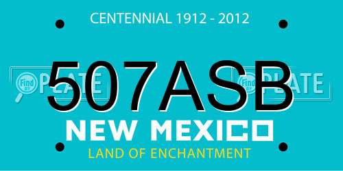 507ASB New Mexico License Plate