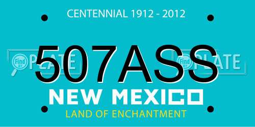 507ASS New Mexico License Plate