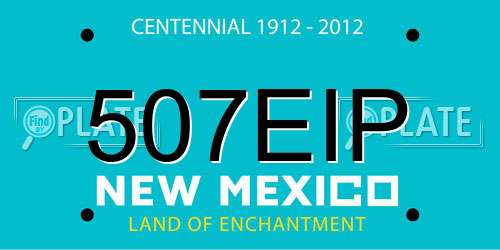 507EIP New Mexico License Plate