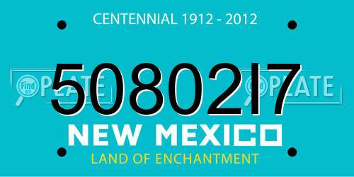 50802I7 New Mexico License Plate