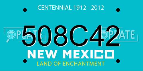 508C42 New Mexico License Plate