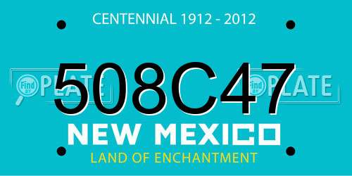508C47 New Mexico License Plate