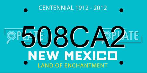 508CA2 New Mexico License Plate