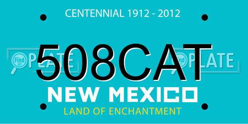 508CAT New Mexico License Plate