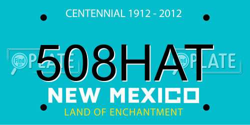 508HAT New Mexico License Plate