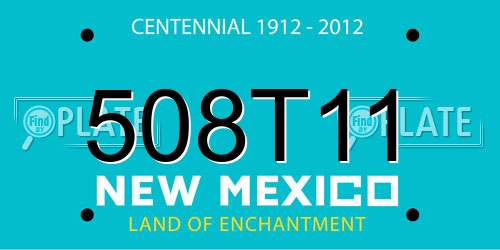 508T11 New Mexico License Plate