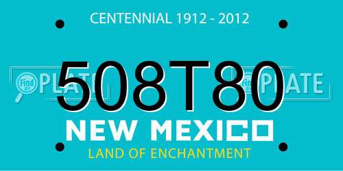 508T80 New Mexico License Plate