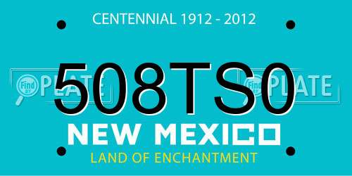 508TS0 New Mexico License Plate