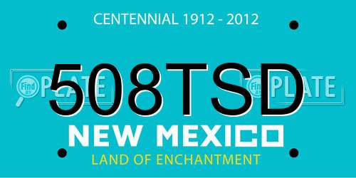 508TSD New Mexico License Plate