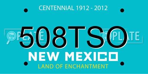 508TSO New Mexico License Plate