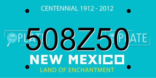 508Z50 New Mexico License Plate