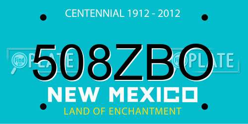 508ZBO New Mexico License Plate
