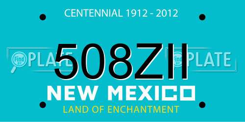 508ZII New Mexico License Plate