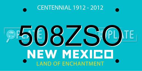 508ZSO New Mexico License Plate