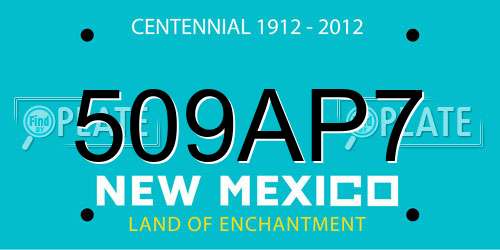 509AP7 New Mexico License Plate