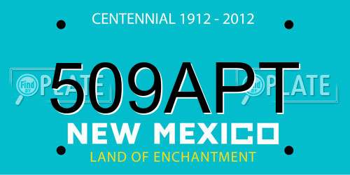 509APT New Mexico License Plate