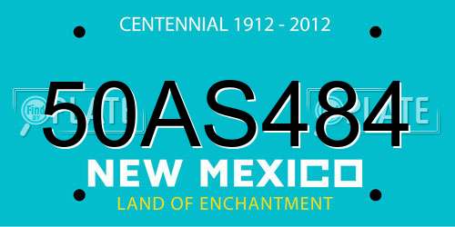 50AS484 New Mexico License Plate