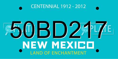 50BD217 New Mexico License Plate