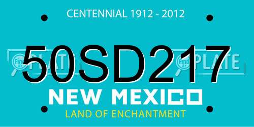 50SD217 New Mexico License Plate