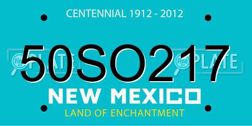 50SO217 New Mexico License Plate