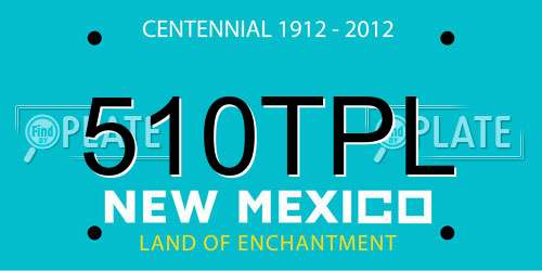 510TPL New Mexico License Plate