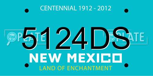 5124DS New Mexico License Plate