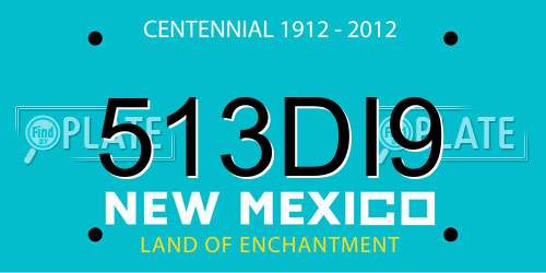 513DI9 New Mexico License Plate