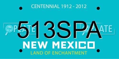 513SPA New Mexico License Plate