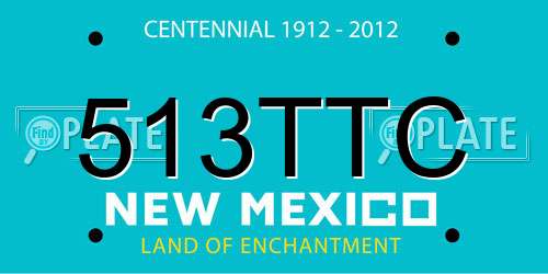 513TTC New Mexico License Plate