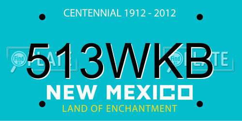 513WKB New Mexico License Plate