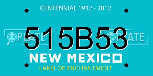 515B53 New Mexico License Plate