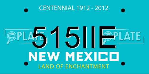 515IIE New Mexico License Plate