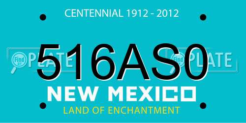 516AS0 New Mexico License Plate