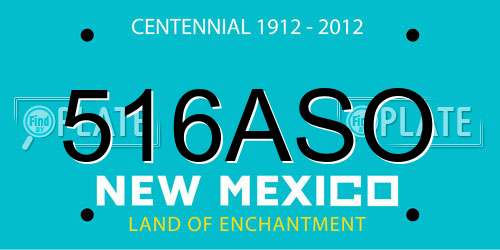 516ASO New Mexico License Plate