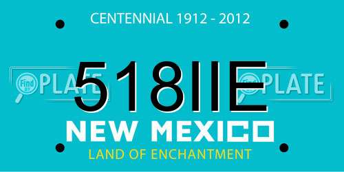 518IIE New Mexico License Plate