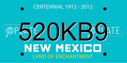 520KB9 New Mexico License Plate