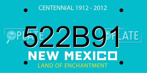 522B91 New Mexico License Plate