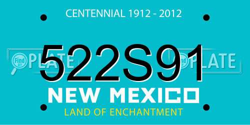 522S91 New Mexico License Plate