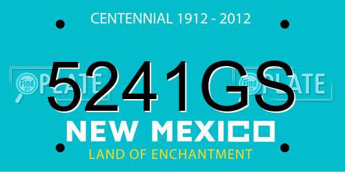 5241GS New Mexico License Plate